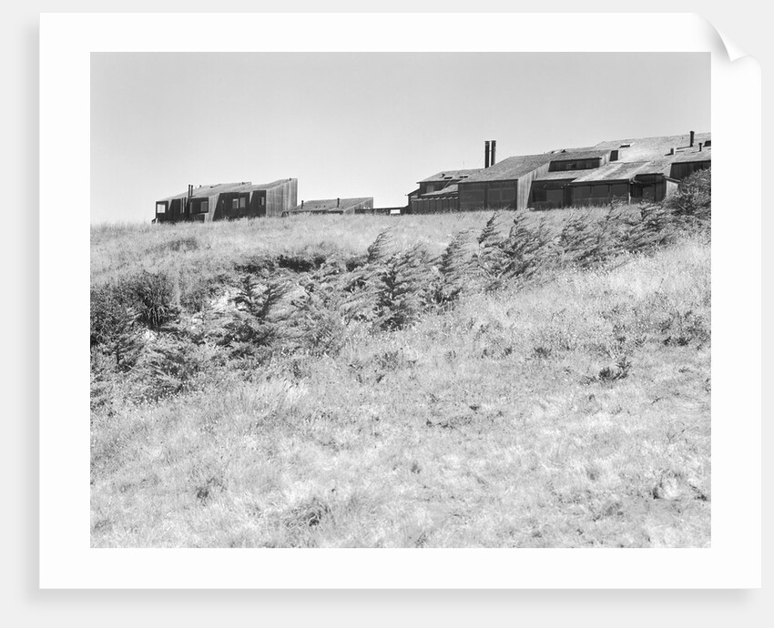 Sea Ranch by Anonymous