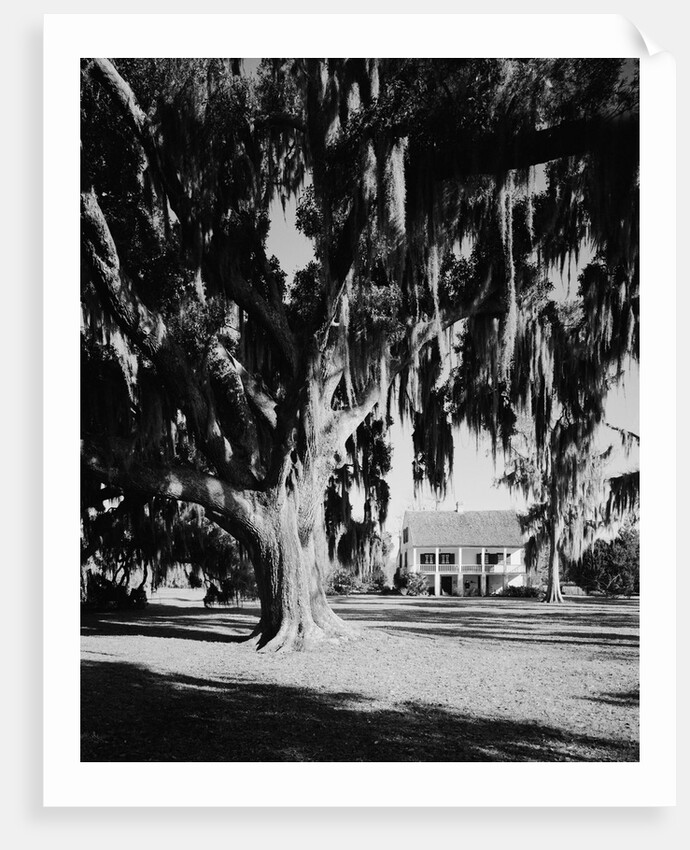 Maison Oliver by Anonymous