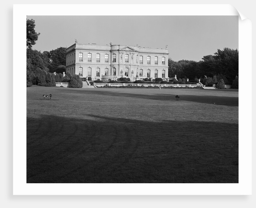 The Elms by Anonymous