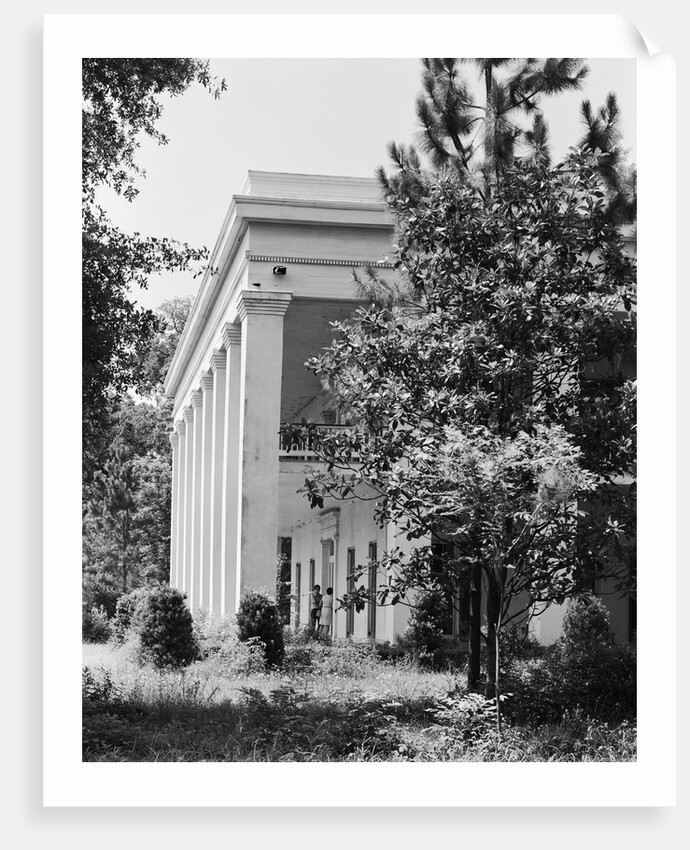 Corner of Ashland-Belle Helene by Anonymous