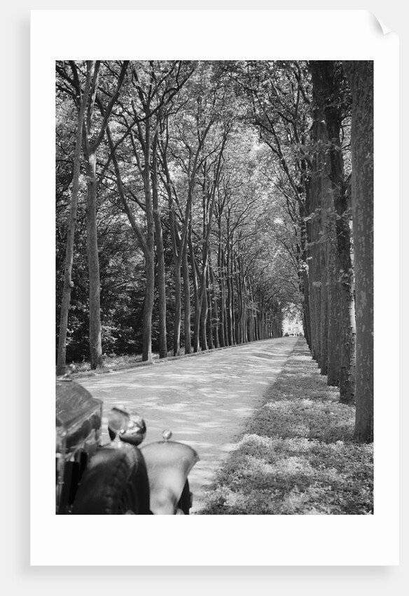 Tree-Lined Entrance Road to French Chateau Chenonceaux by Anonymous