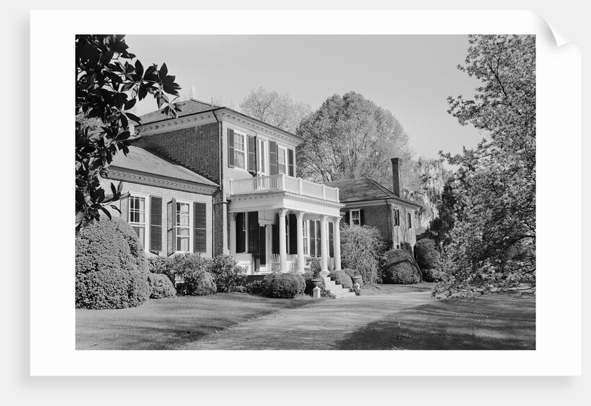 Brandon Plantation by Anonymous