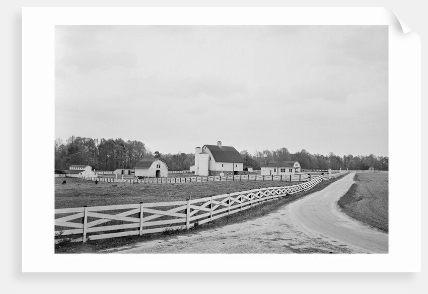 Swann's Point Plantation by Anonymous
