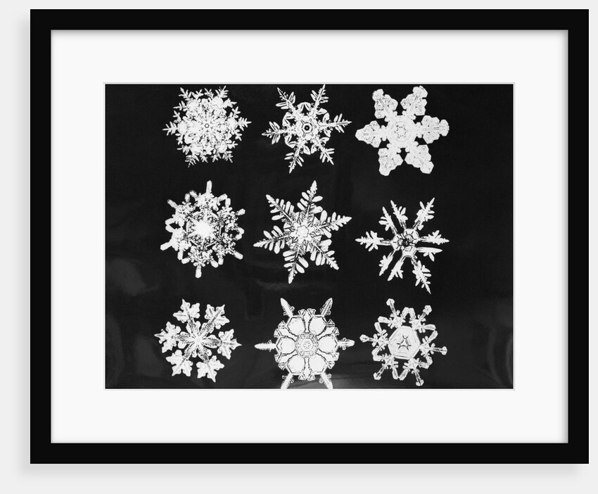 Assorted Snowflake Patterns by Anonymous
