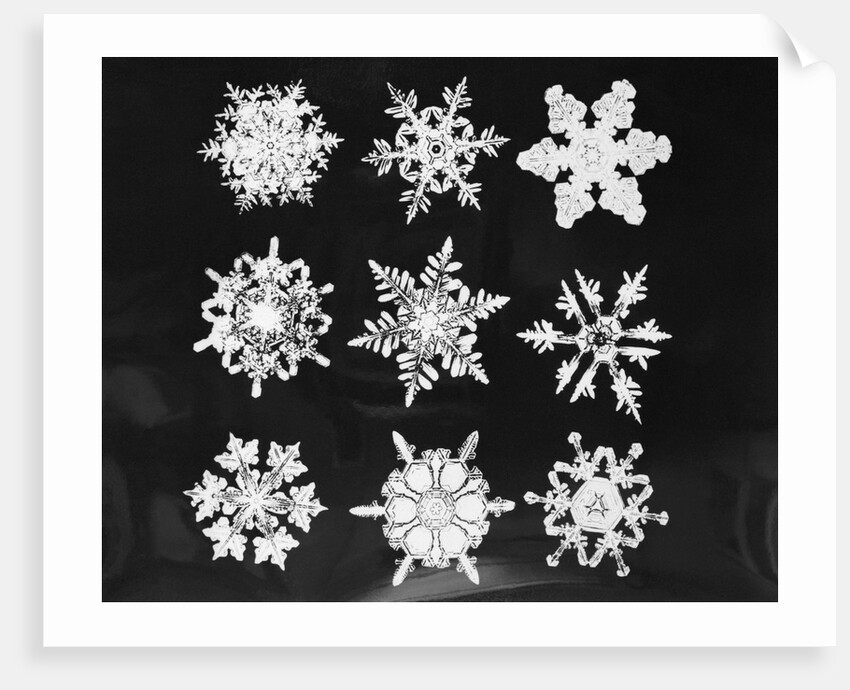 Assorted Snowflake Patterns by Anonymous
