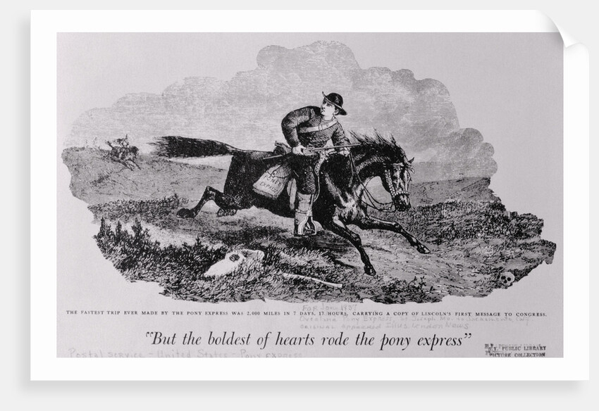 Rider for the Pony Express by Anonymous