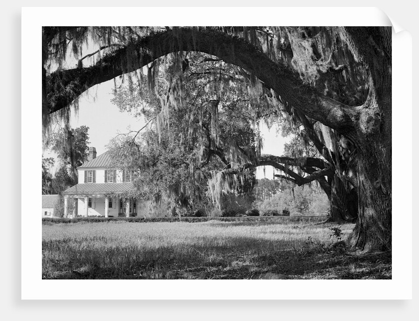 Exterior View of an Old Southern Home by Anonymous