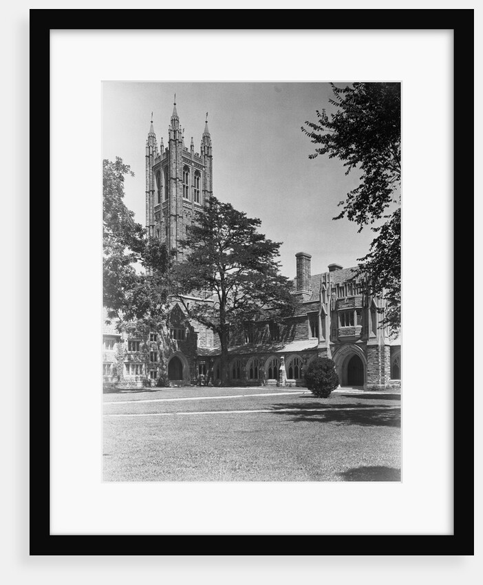View of Princeton University, Madison Hall by Anonymous