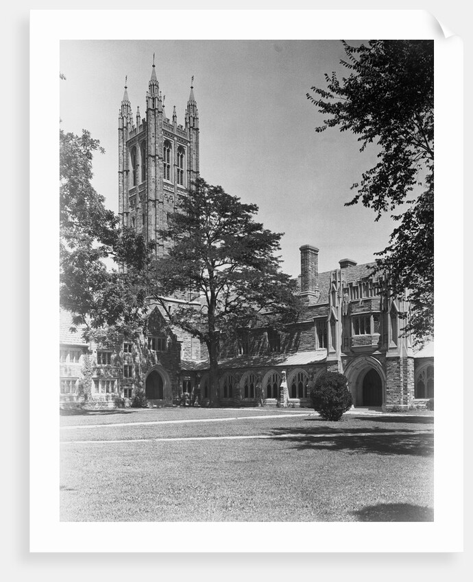 View of Princeton University, Madison Hall by Anonymous