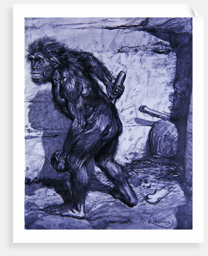 Neanderthal man by Anonymous