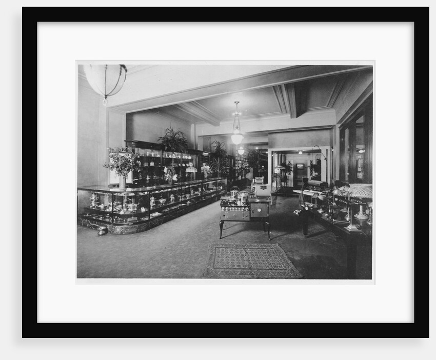 Sanborn Electric Company Store by Anonymous