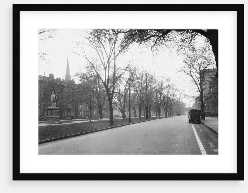 Trees Line a City Street by Anonymous