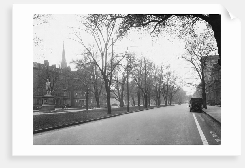 Trees Line a City Street by Anonymous