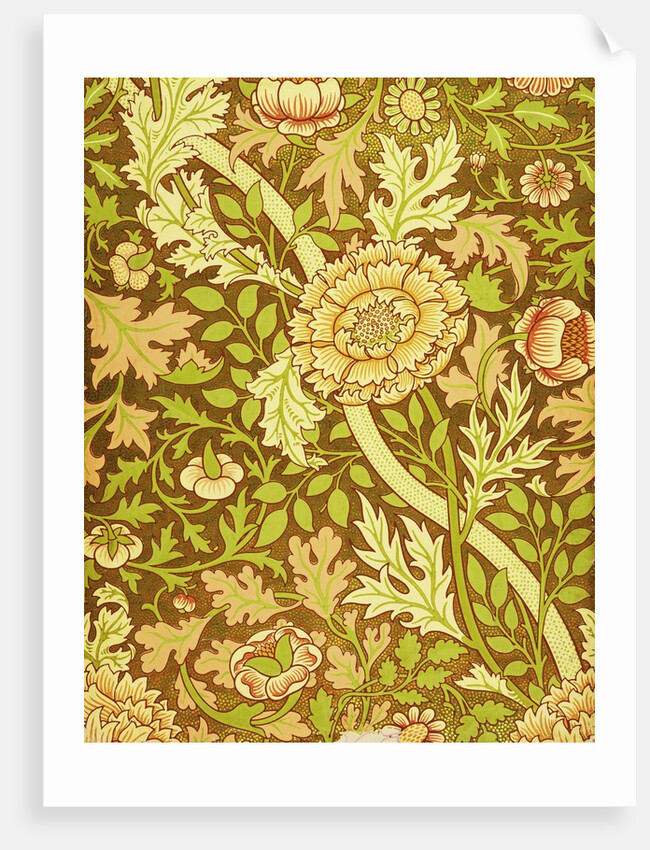 William Morris Design by Anonymous