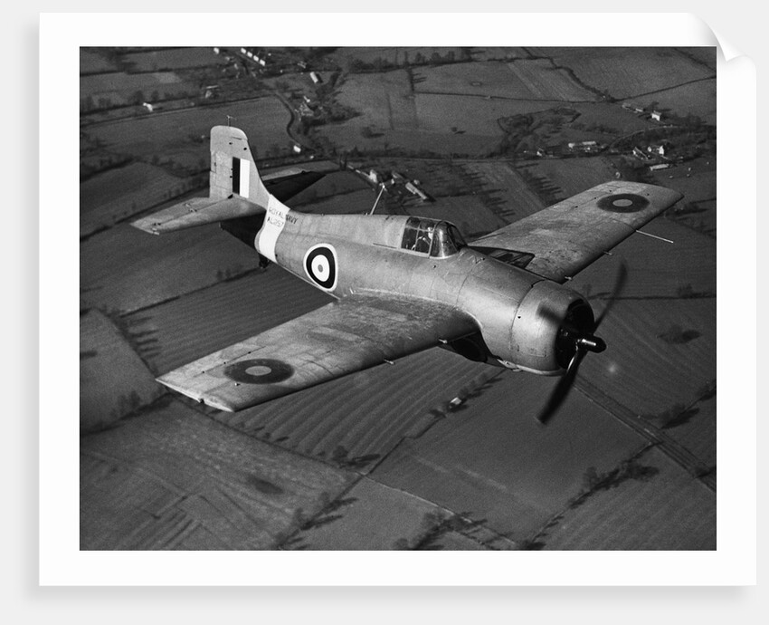 Grumman Martlet 1 by Anonymous