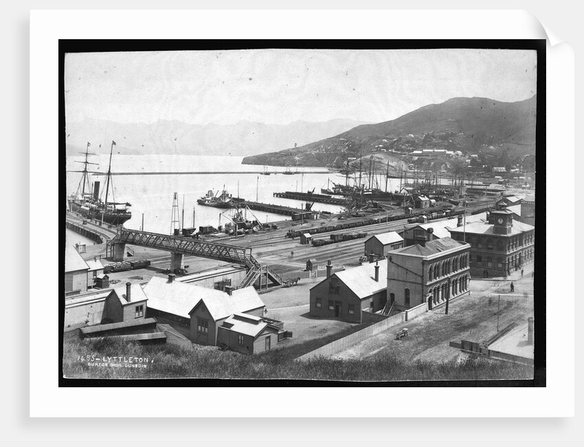 Lyttleton Harbour by Anonymous