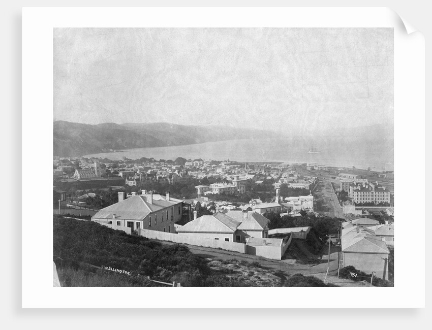 Wellington, ca. 1885 by Anonymous