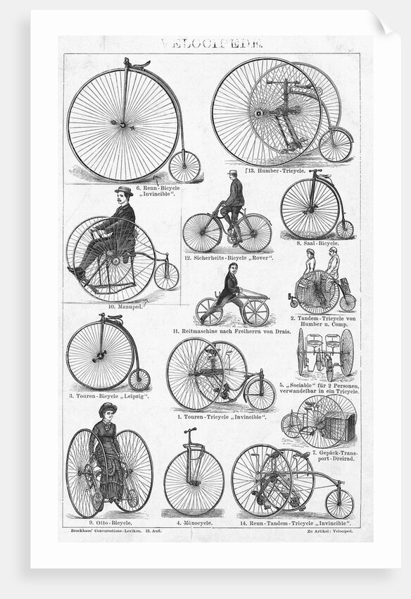 Velocipedes by Anonymous
