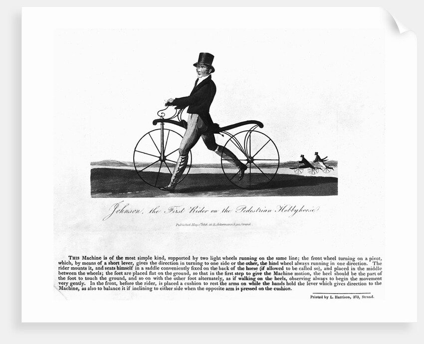 Johnson's Hobby Horse by Anonymous