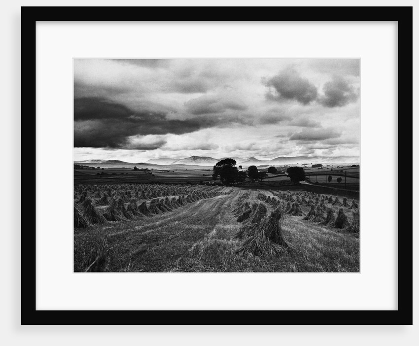 Welsh Wheat Fields With Snowdonia in the Distance by Anonymous