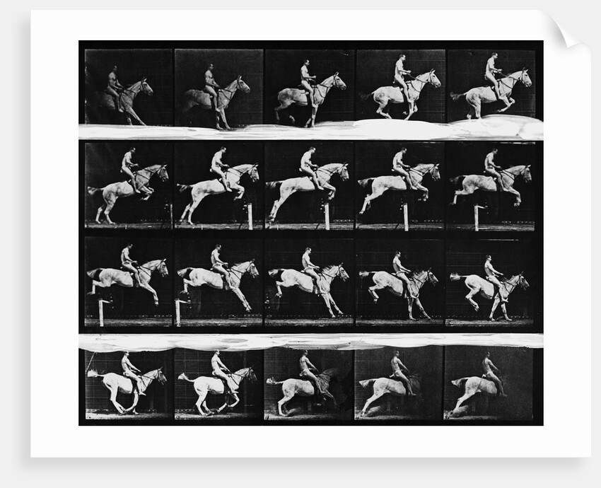 Nude Man Riding Horse by Anonymous