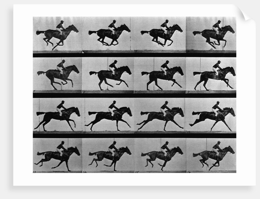 Man Riding Galloping Horse by Anonymous