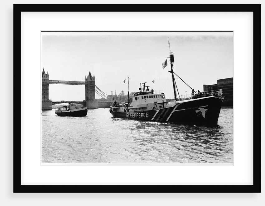 Rainbow Warrior in London by Anonymous