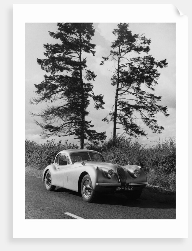 Jaguar XK120 Hardtop by Anonymous