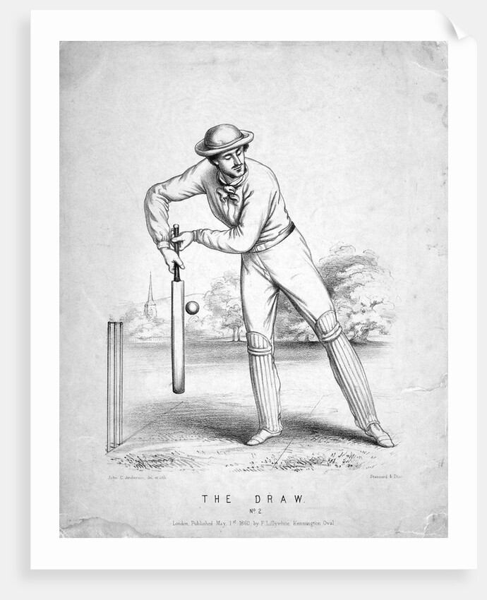 Cricket Player by Anonymous