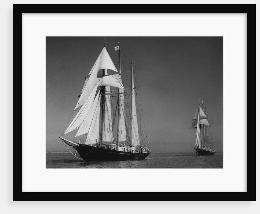 Schooners Sir Winston Churchill and Malcolm Miller by Anonymous