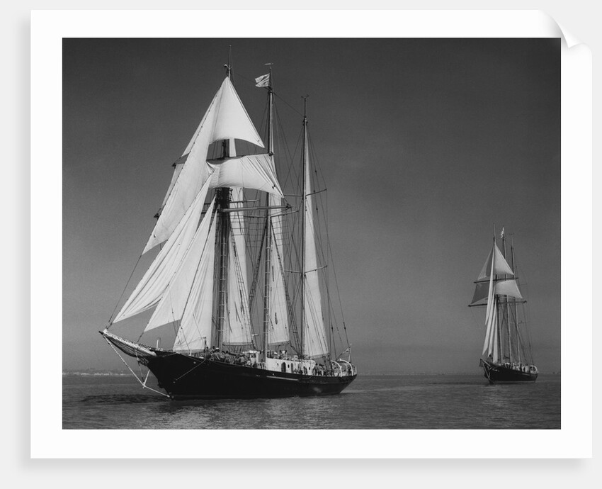 Schooners Sir Winston Churchill and Malcolm Miller by Anonymous