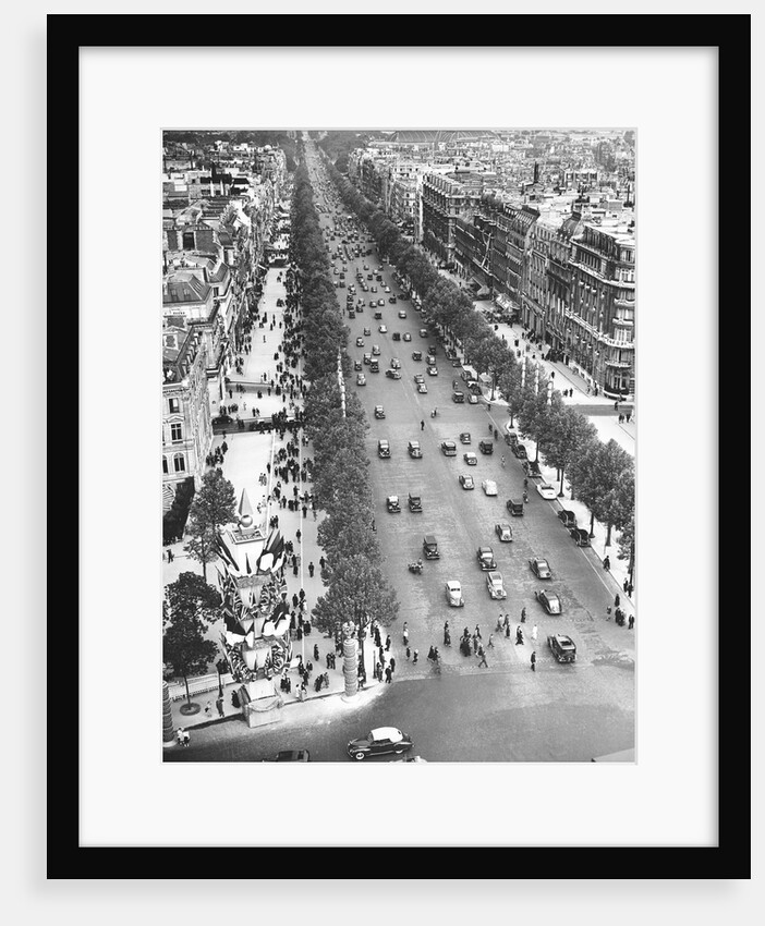 Tree Lined Street by Anonymous
