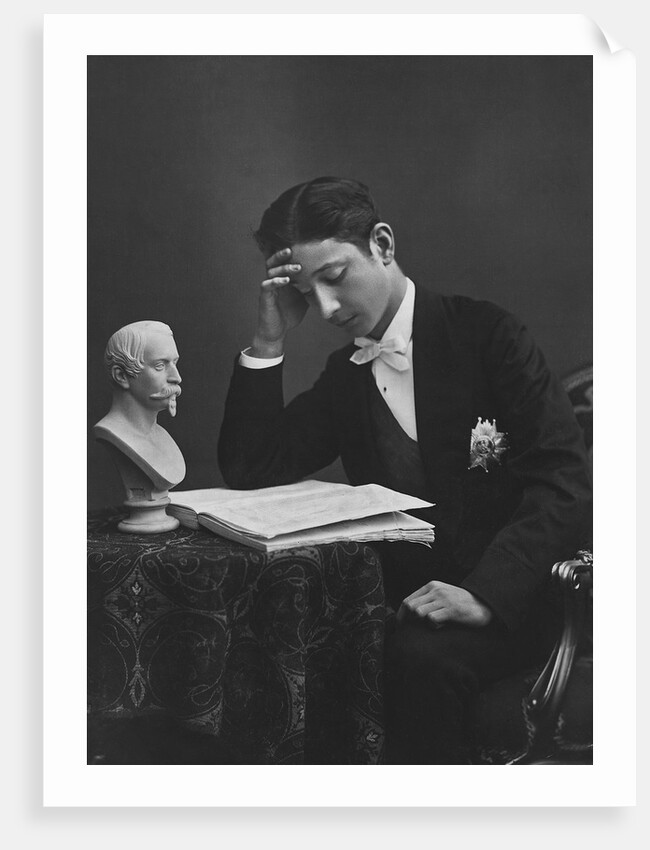 Portrait of Eugene- Prince Imperial of France by Anonymous