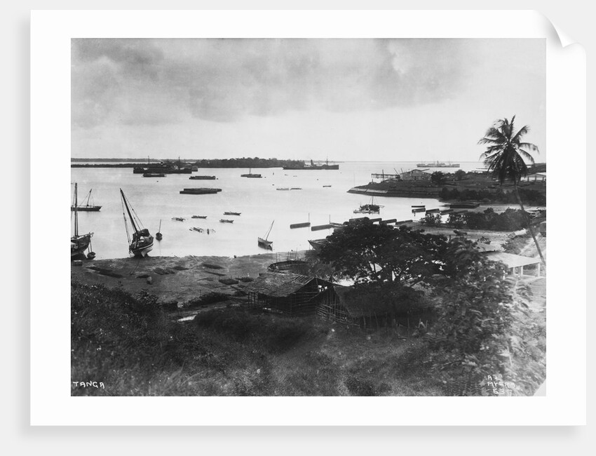 Tanga Harbor by Anonymous