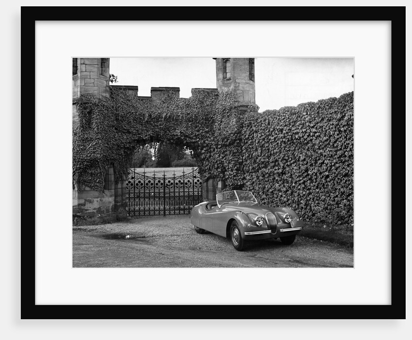 Jaguar XK120 Sports Car by Anonymous