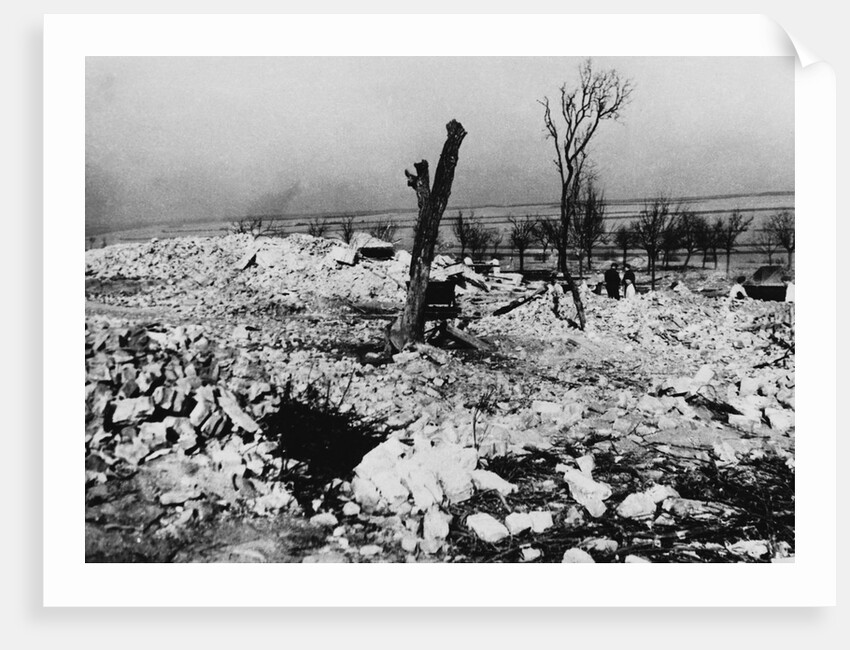 Tree Stump Where the Village of Lidice Once Stood, 1942 by Anonymous