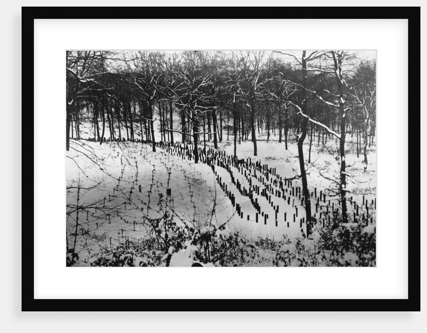 Rows of Posts in Front of the Maginot Line, ca. 1940 by Anonymous