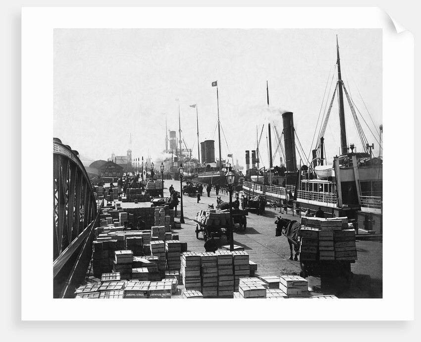 Landing Stage of Liverpool Docks by Anonymous