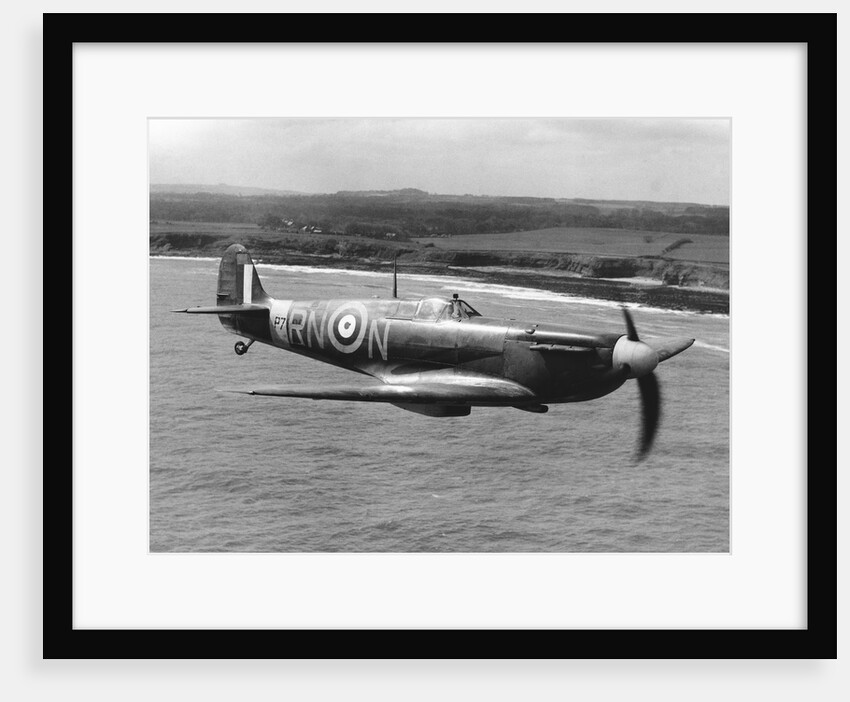 Spitfire In Flight. by Anonymous
