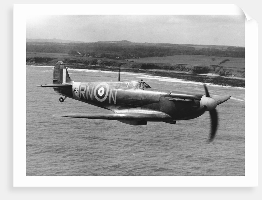 Spitfire In Flight. by Anonymous