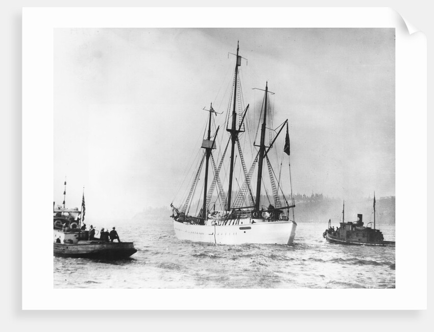 Amundsen's Vessel Returns From the Arctic by Anonymous