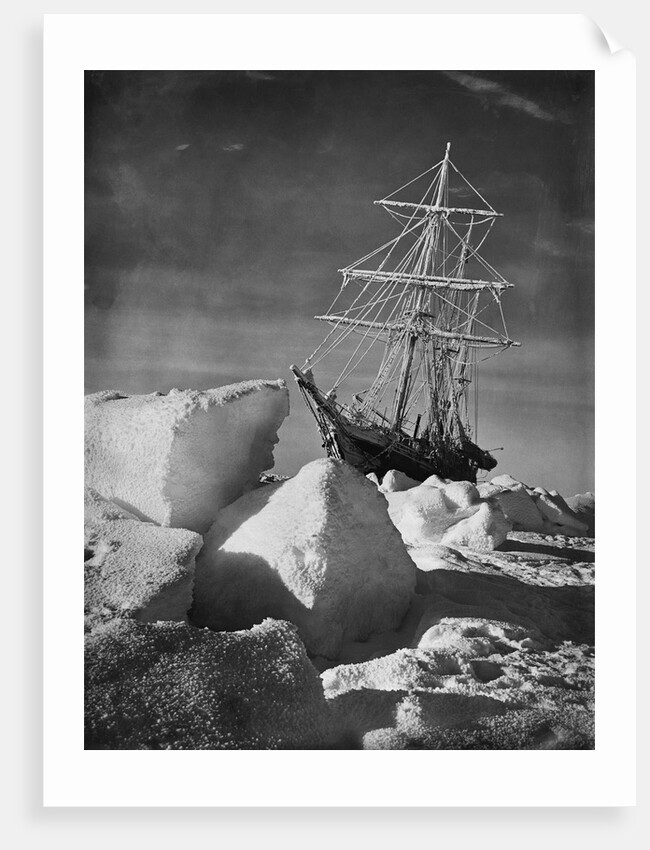 Endurance Trapped in Ice by Anonymous