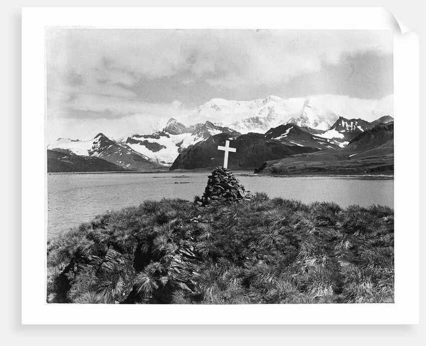 Shackleton's Grave at Grytviken by Anonymous