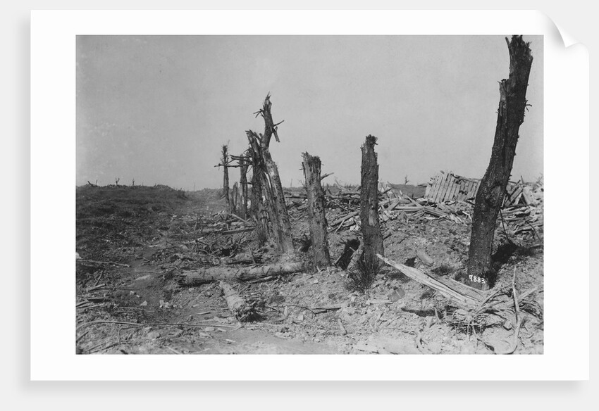 Devastated Battlefield of The Somme, 1916 by Anonymous