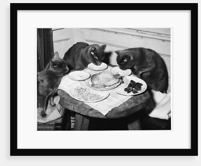 Cats' Celebratory Feast by Anonymous