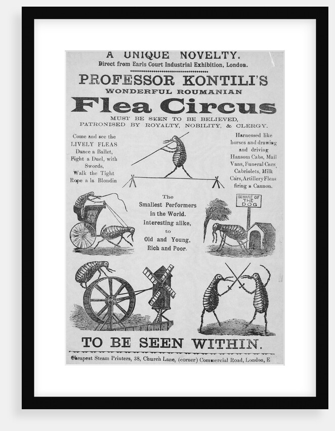 Advertisement For Flea Circus by Anonymous