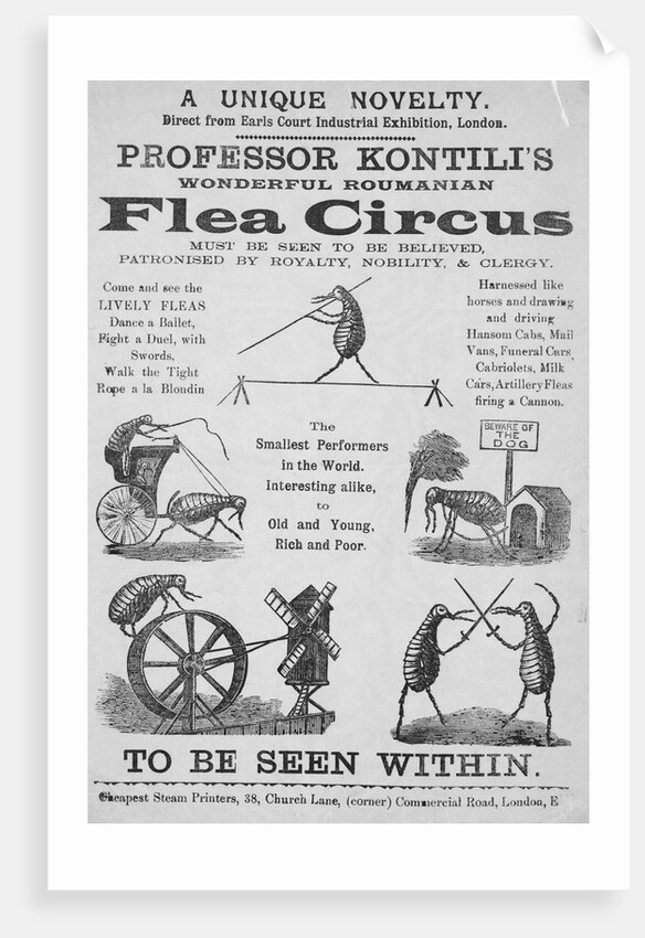Advertisement For Flea Circus by Anonymous