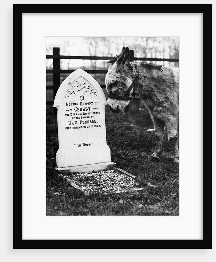 A Pet Cemetery by Anonymous