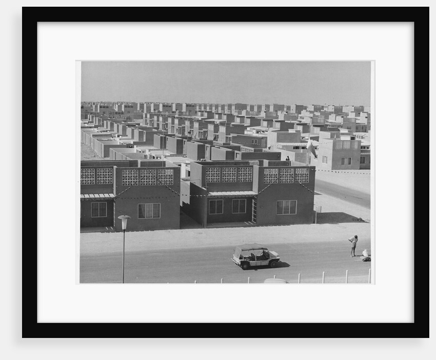 Rows of Houses by Anonymous