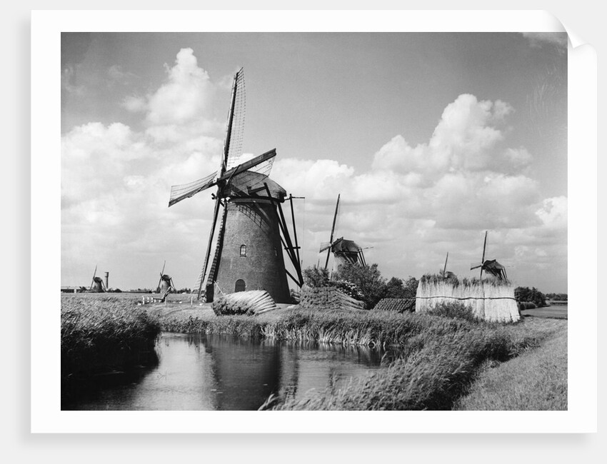 Canalside Windmills by Anonymous